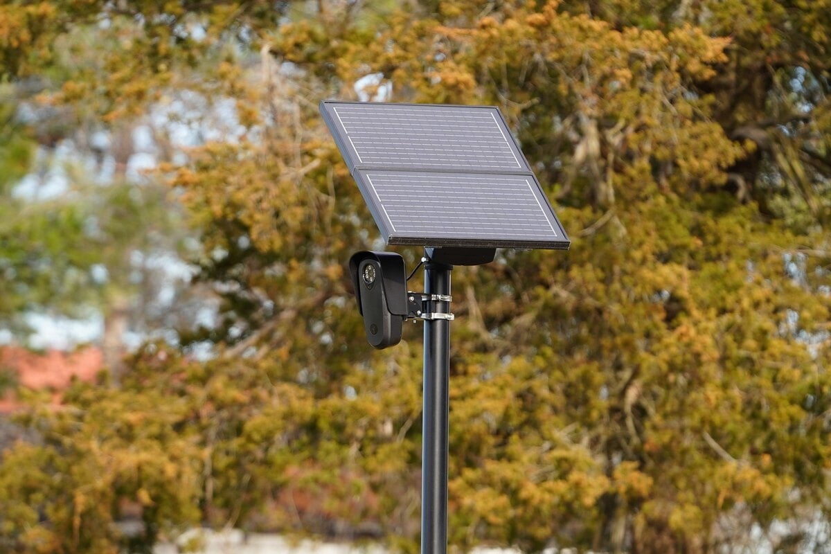 Solar-powered remote camera in vegetation